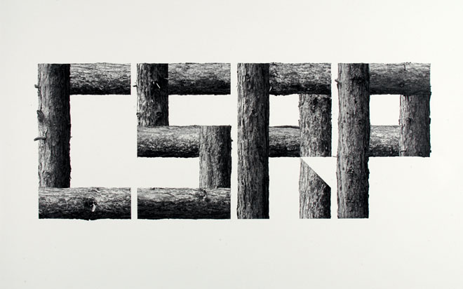 CSRP (medium iris print) 2007 Stanley Picker Gallery Collection