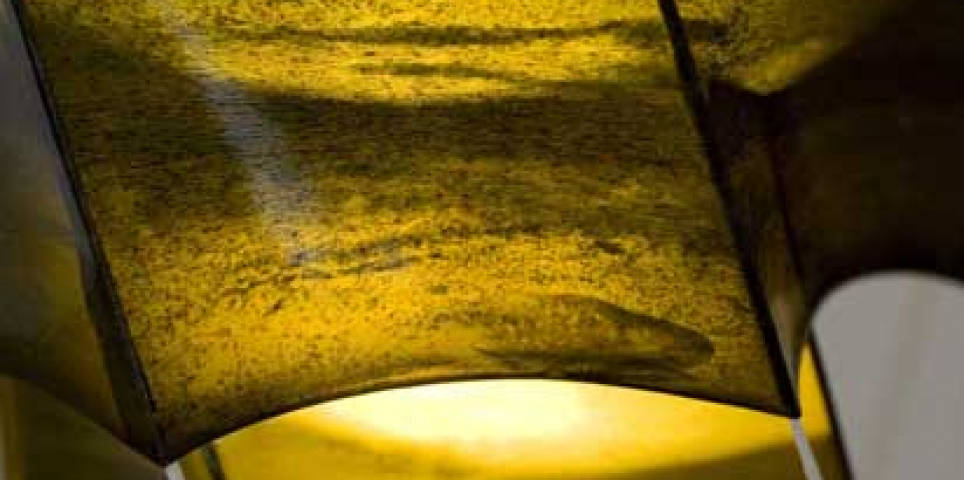 Kelp Constructs (detail) 2010