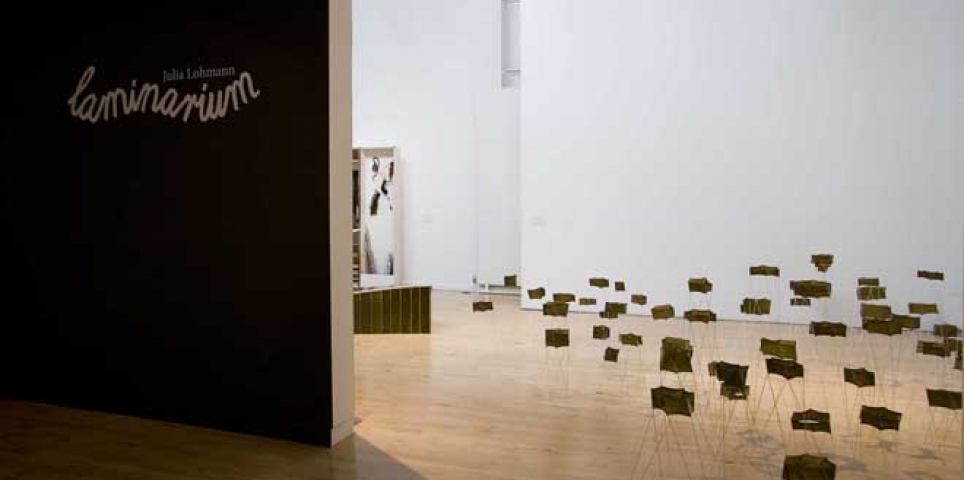 Laminarium (installation view) 2010