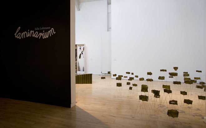Laminarium (installation view) 2010