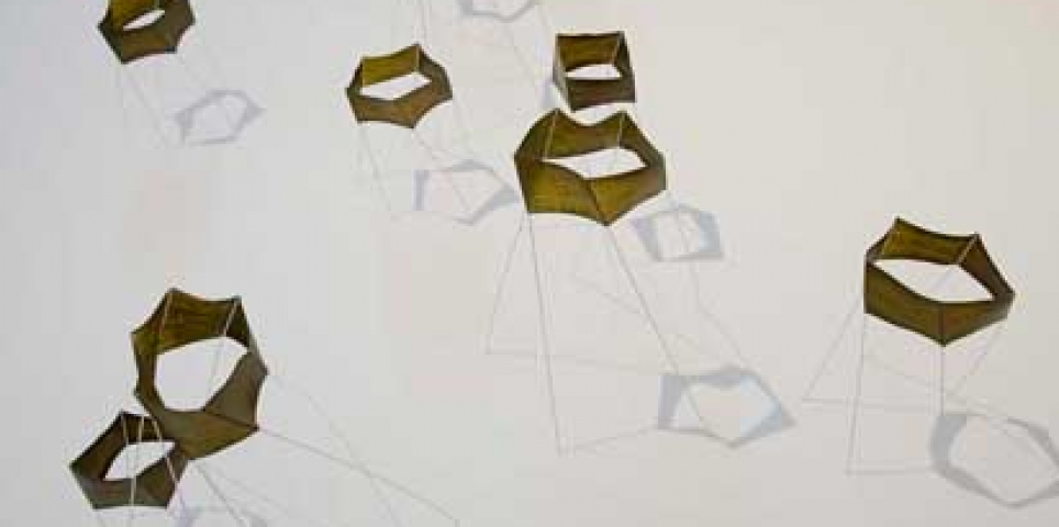 Kelp Constructs (installation view) 2010