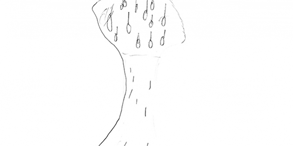 Tree tree group tree