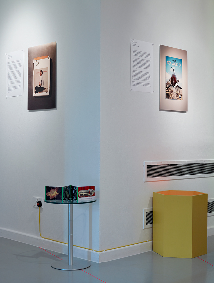 Ab Rogers Design A Day in the Life of Ernesto Bones (2011) installation view. Photography John Short.