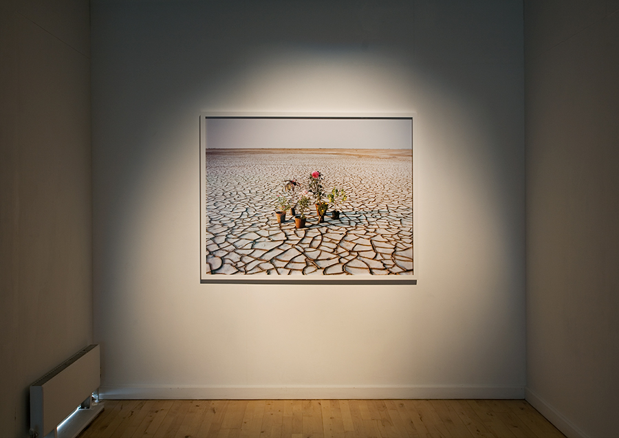 Mike Marshall Flood Plain (2009) installation view. Photography Ellie Laycock