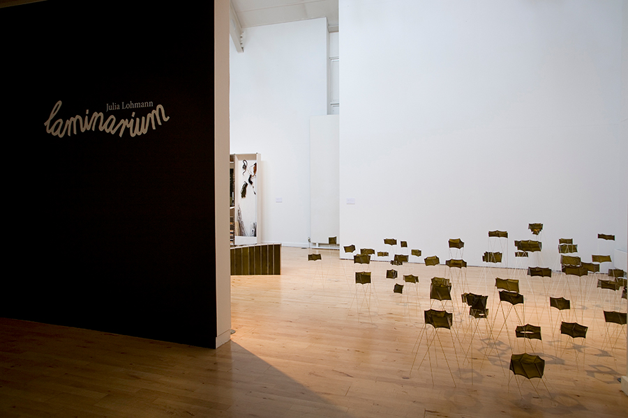 Julia Lohmann Laminarium (2010) installation view. Photography Ellie Laycock