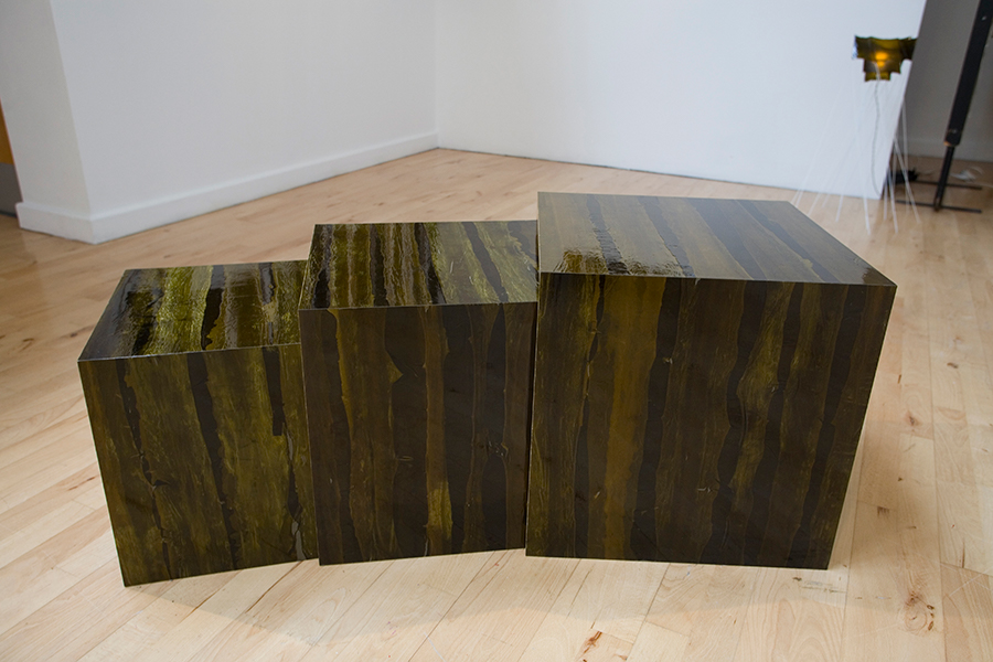 Julia Lohmann Laminarium (2010) Kelp nest. Photography Ellie Laycock