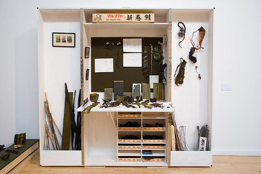 Julia Lohmann Laminarium (2010) installation view. Photography Ellie Laycock