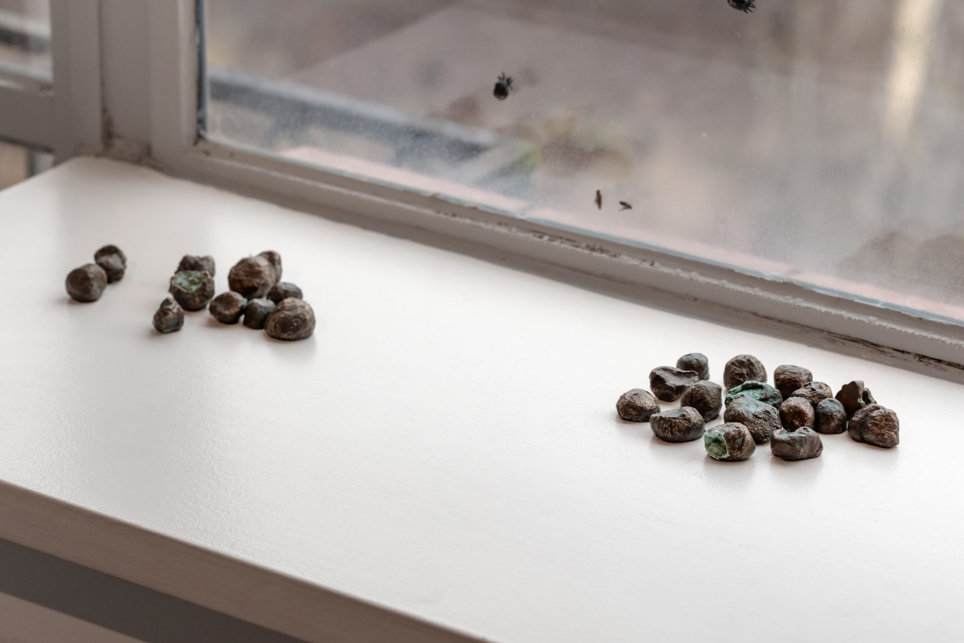 Flo Kasearu, Elina Vitola, Parasites at Dorich House Museum, Kingston University, London.