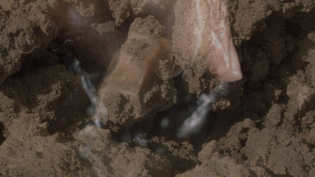 Launch Event: Through an Embodied Practice of Stillness