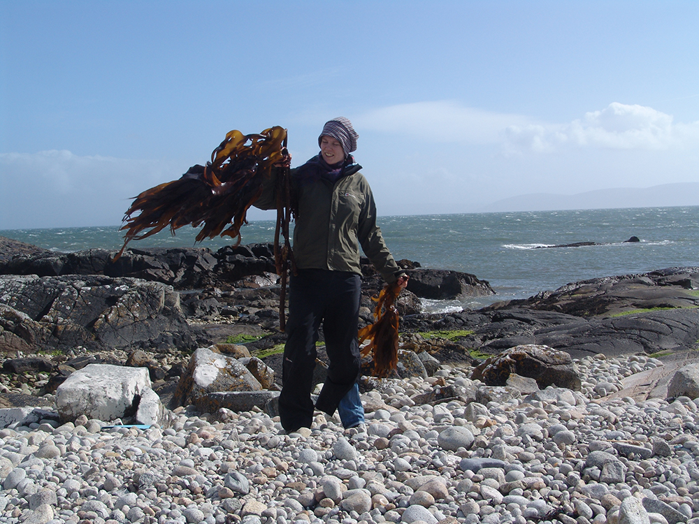 Julia Lohmann researching Kelp species in Iceland during the period of her Fellowship 2009