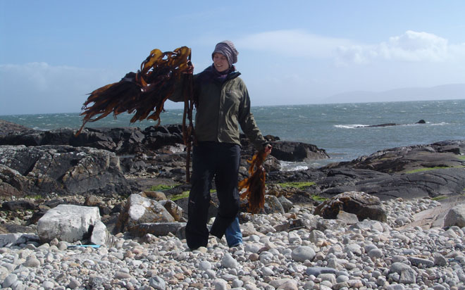 Julia Lohmann researching kelp species in Iceland 2009