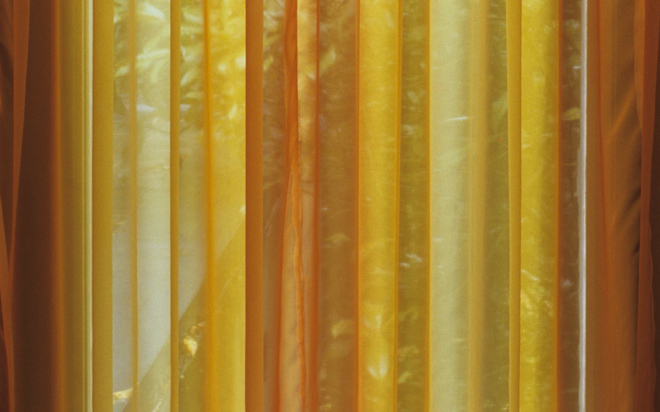 Bridget Smith Curtains (detail) 2012