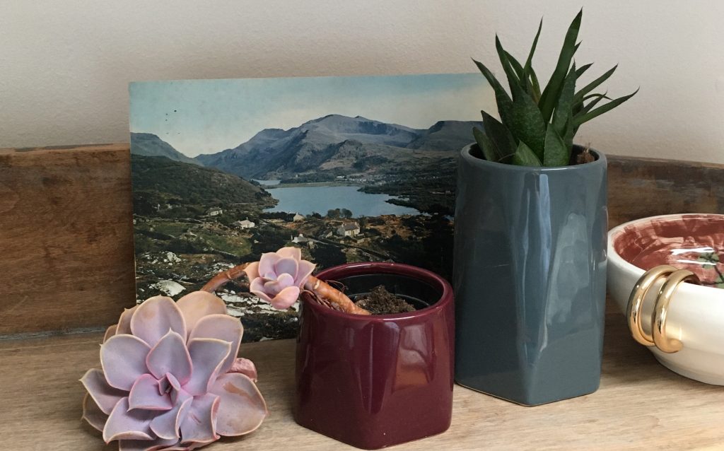 Get Creative Curating the Home Stanley Picker Gallery